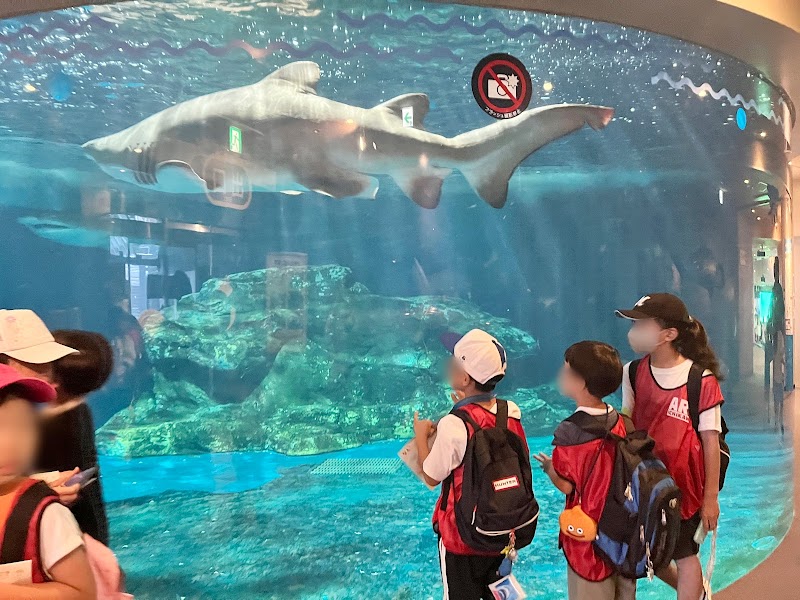 学童クラブARC（アルク市川）の写真 3枚目