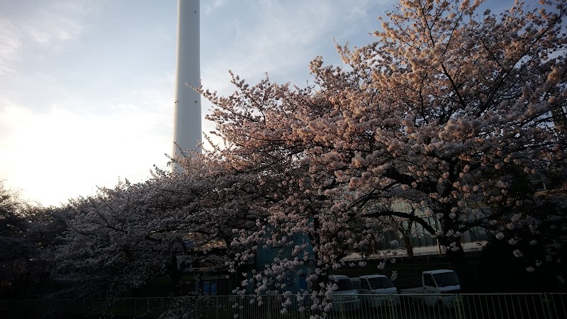 上高井戸学童クラブの写真 2枚目