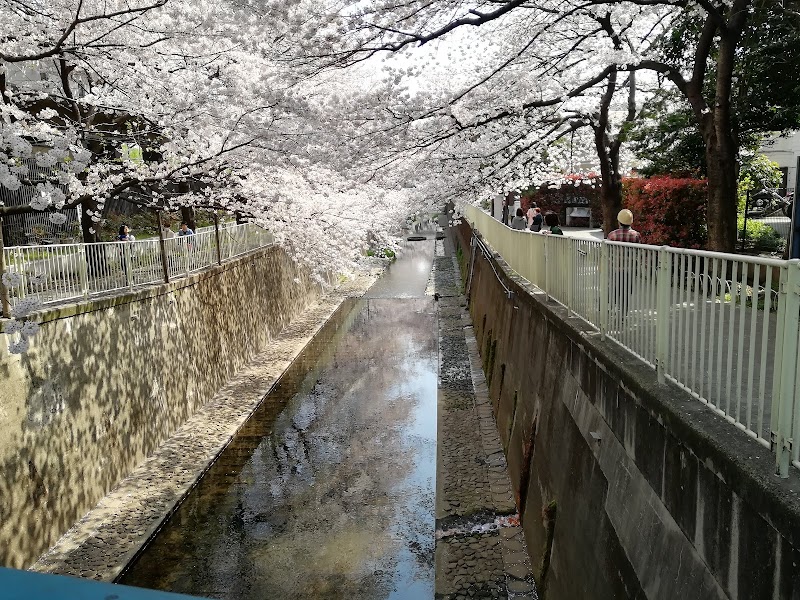 上高井戸学童クラブの写真 3枚目