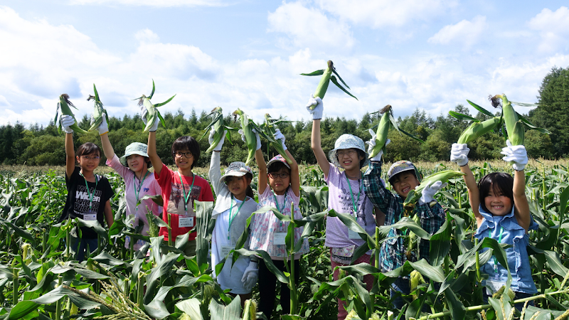 スイッチスクール 阿佐ヶ谷校の写真 2枚目