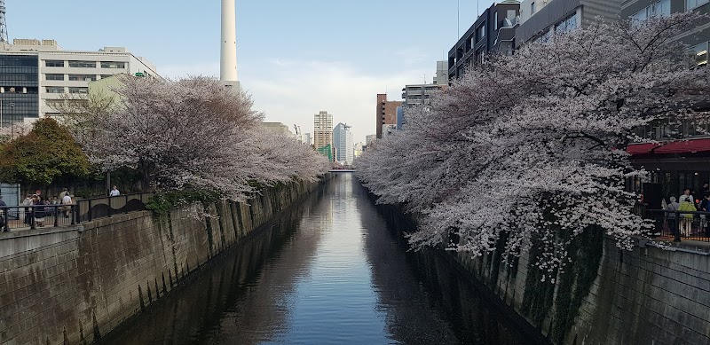 東京インターナショナルスクール 中目黒アフタースクールの写真 2枚目