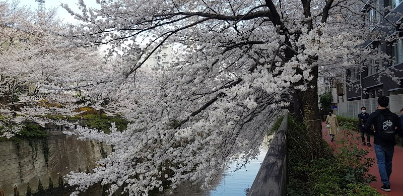 東京インターナショナルスクール 中目黒アフタースクールの写真 3枚目