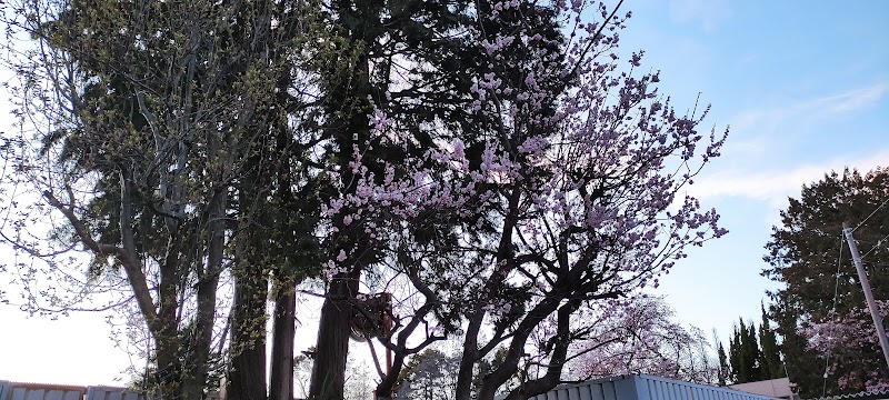 常盤放課後児童クラブの写真 2枚目